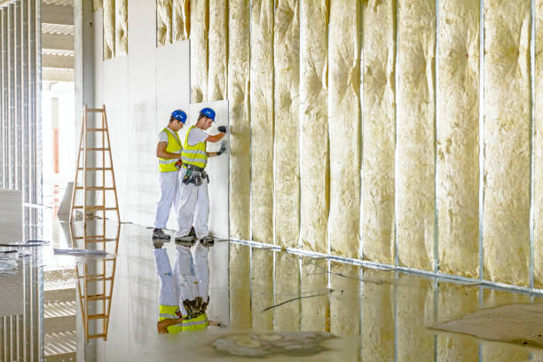 Best Insulation Inspection Services  in Cudahy, CA